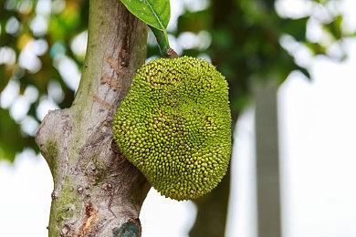 R星仍计划在2025年发布《GTA6》 不会跳票？